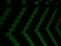 Zebra Man in Flashing Room thumbnail