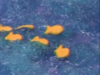 Gooey Fishes thumbnail