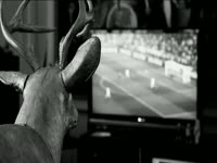 Deer Watching Soccer on TV thumbnail