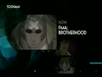 Toonami 3.0 FMAB 04
