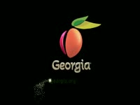 Made in Georgia Logo thumbnail