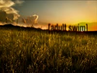 Tagged Videos: Field 01 thumbnail