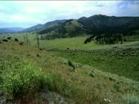 Tagged Videos: Field 06 thumbnail