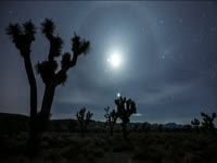 Tagged Videos: Moon Dog thumbnail