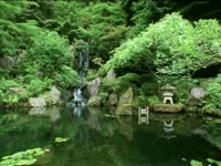 Tagged Videos: Japanese Garden thumbnail