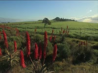 Tagged Videos: Field 09 thumbnail