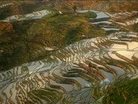 Tagged Videos: Terraced Rice Field thumbnail