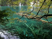 Tagged Videos: Five Flower Lake thumbnail