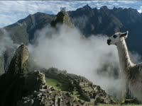 Tagged Videos: Llama at Machu Picchu thumbnail
