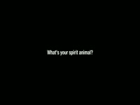 Funhouse Questions: Spirit Animal thumbnail