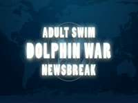 Dolphin War Newsbreak thumbnail