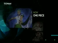 Toonami 3.0 One Piece 10