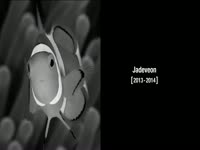 In Memoriam, We Miss You thumbnail