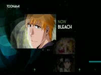 Toonami 3.0 Bleach 14