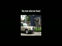 Hey Look What We Found thumbnail