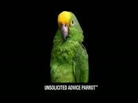 Unsolicited Advice Parrot thumbnail