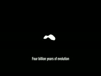 Four Billion Years of Evolution thumbnail