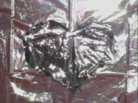 Foil Hearts thumbnail