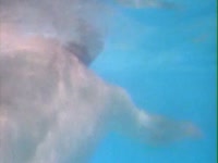 2001 Pool #24